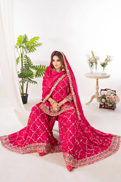 LadyVastara Elegance Embroidered Sharara Suit