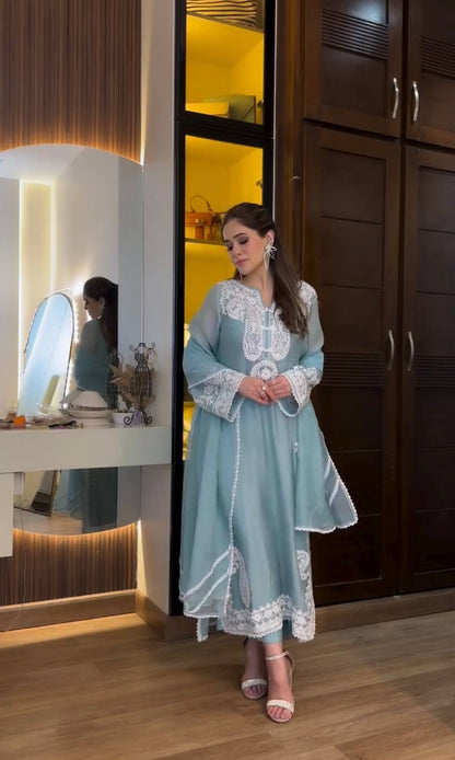 Ladyvastara Modern Ethnic Wear Organza Suit Set for Women