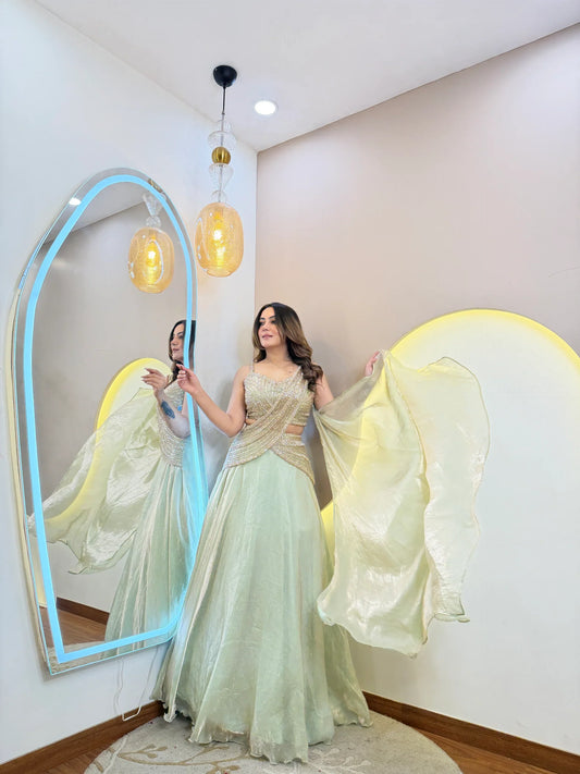 Ladyvastara Elegant Handwork Lehenga Choli in Shimmer Tissue Organza