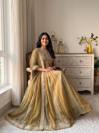 Premium Embroidered Designer Gown with Butterfly Net Dupatta & Bottom | Party Wear & Festive Wedding Outfit